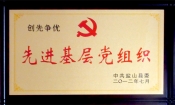 2012縣創(chuàng)先爭優(yōu)先進基層黨組織